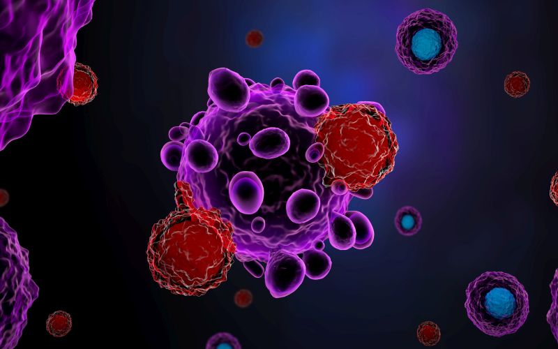 3d render of T cells attacking cancer cells